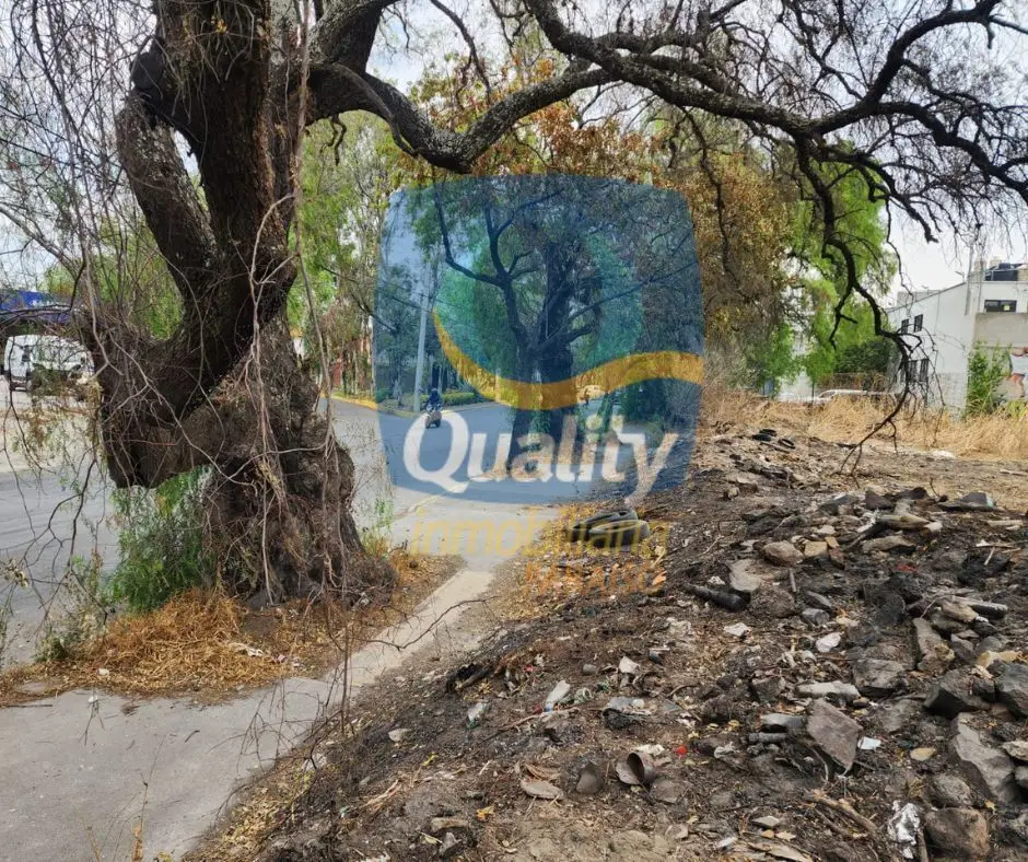 Terreno plano en La Noria con casi 50m de frente — foto 4