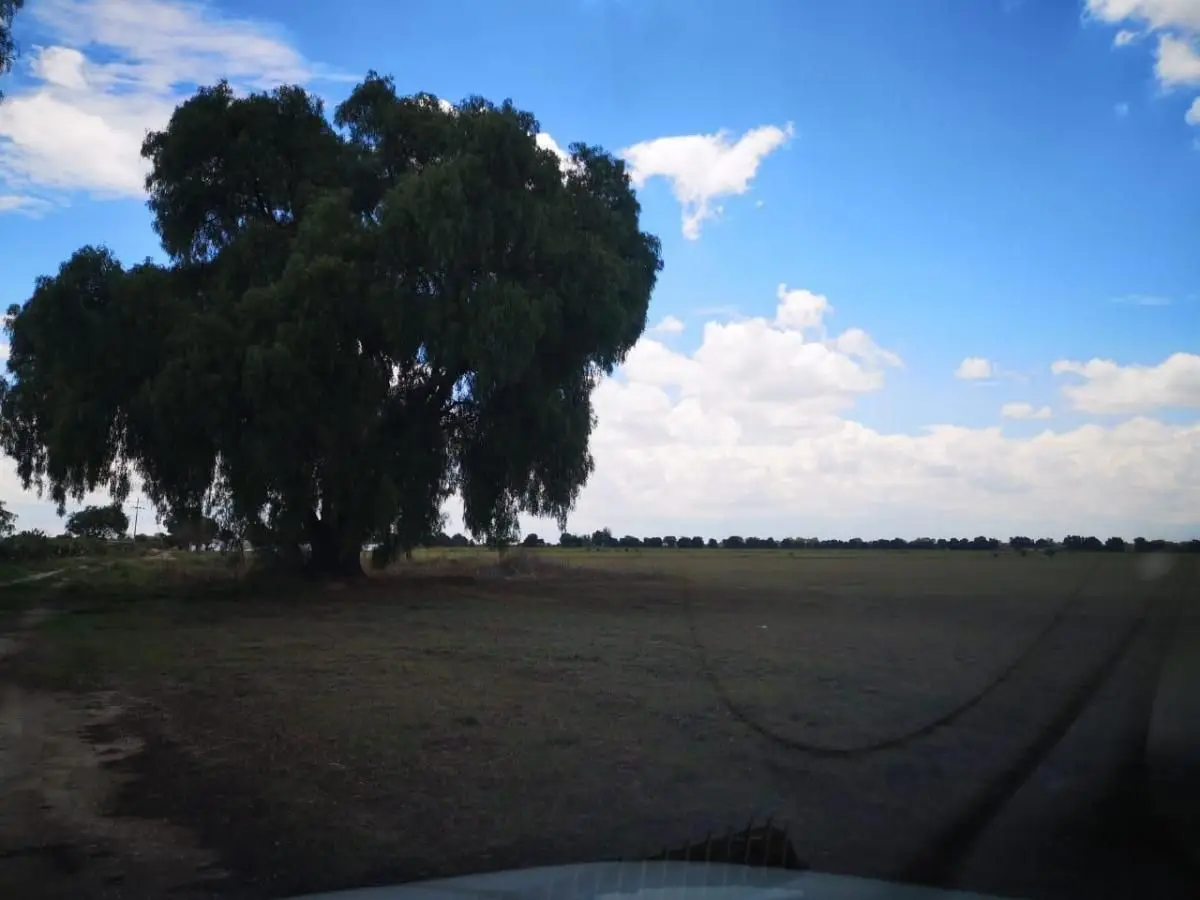 Rancho Agricultor en Venta San Miguel de Allende Guanajuato — foto 5