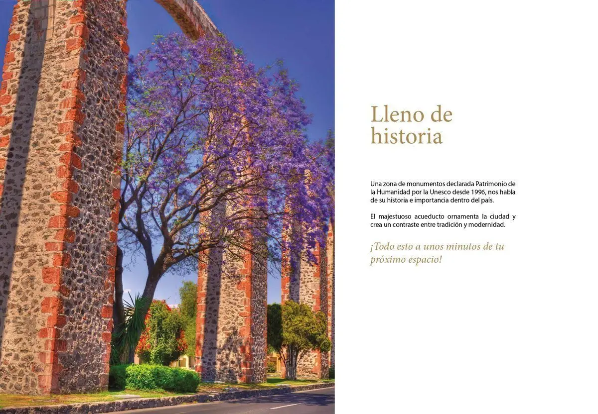 Terrenos Residenciales Venta Cañadas la Porta Oportunidad — foto 6