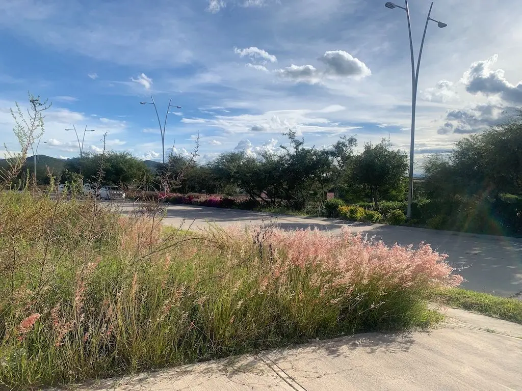 Terreno en Venta el Encino Residencial Huimilpan Queretaro — foto 5