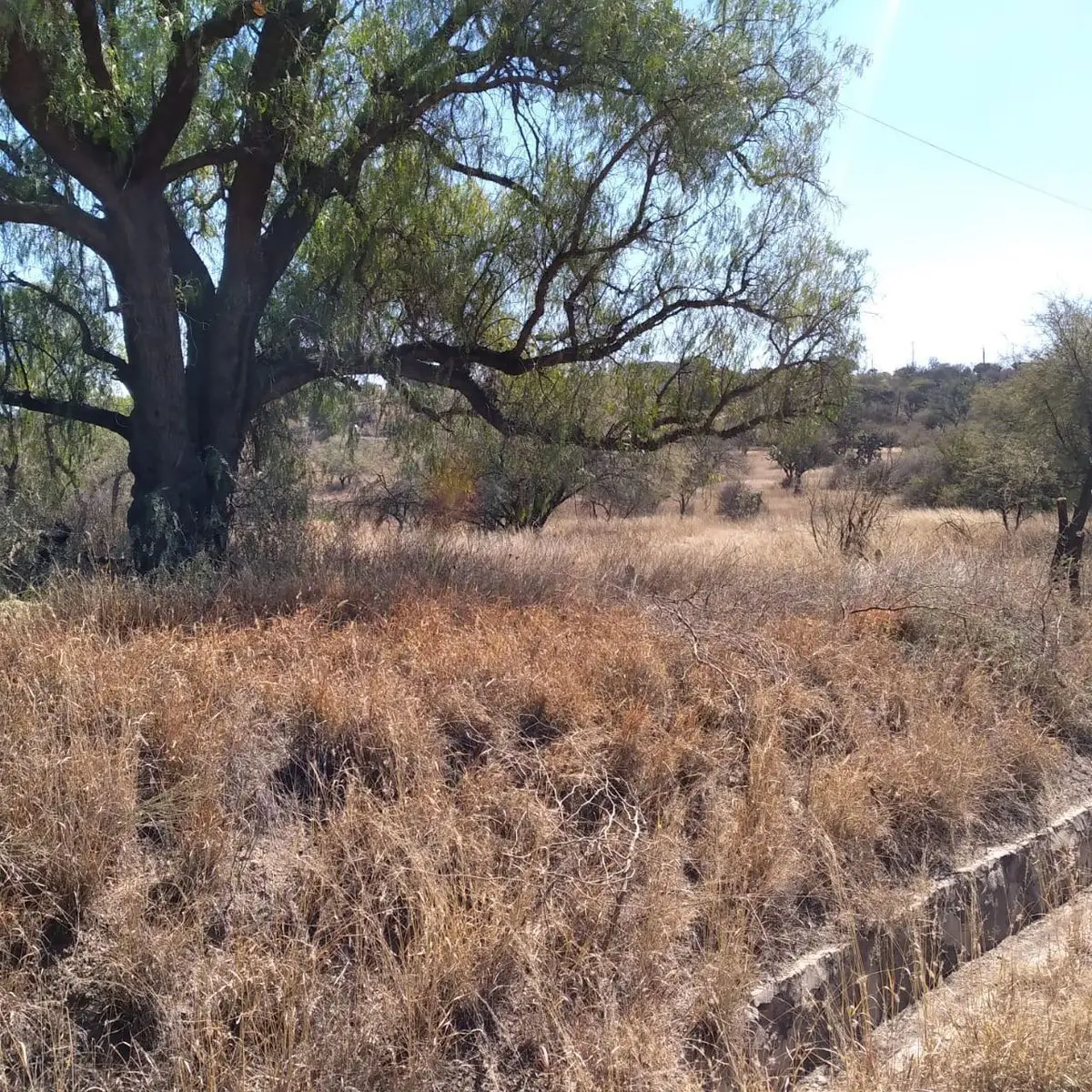 Terreno en Venta Hacienda Amazcala Queretaro — foto 2