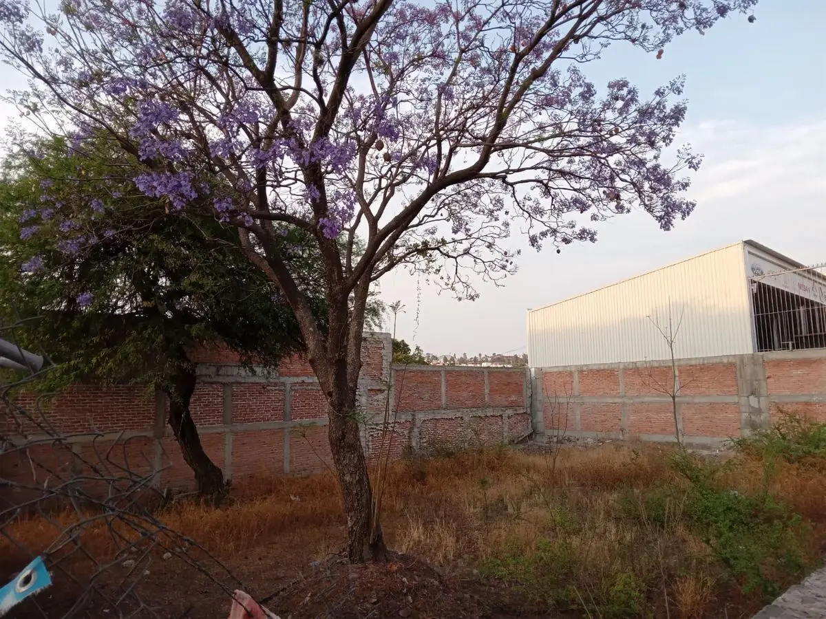 Terreno Comercial en Renta — foto 4