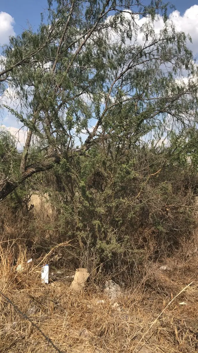 Terreno en Venta Ojo de Agua Santa Rosa Jauregui — foto 3