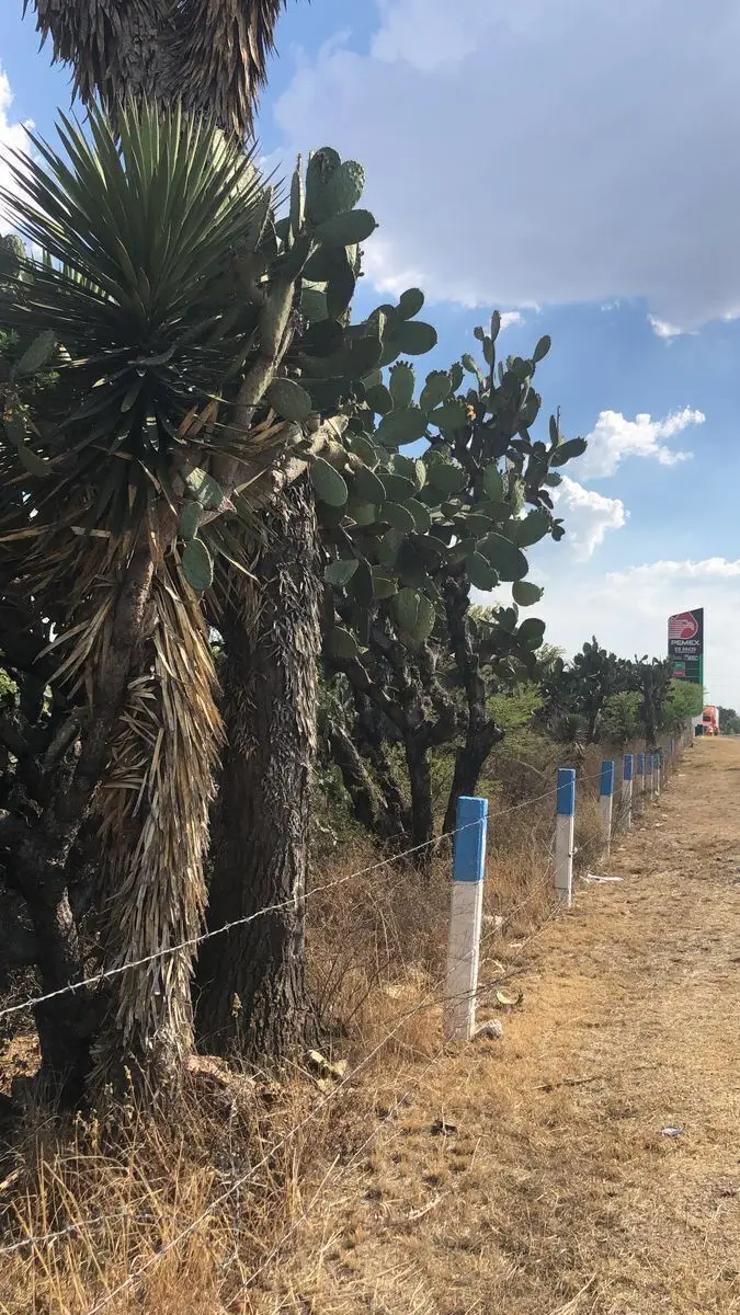 Terreno en Venta Ojo de Agua Santa Rosa Jauregui — foto 4