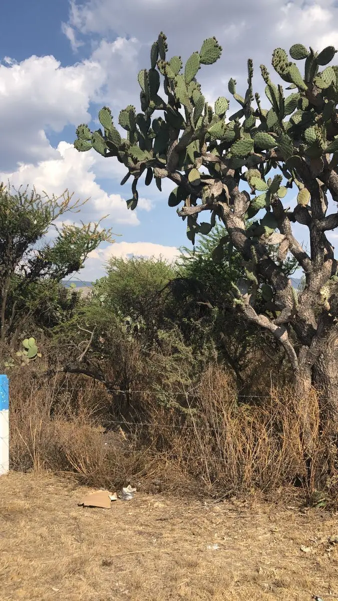 Terreno en Venta Ojo de Agua Santa Rosa Jauregui — foto 6