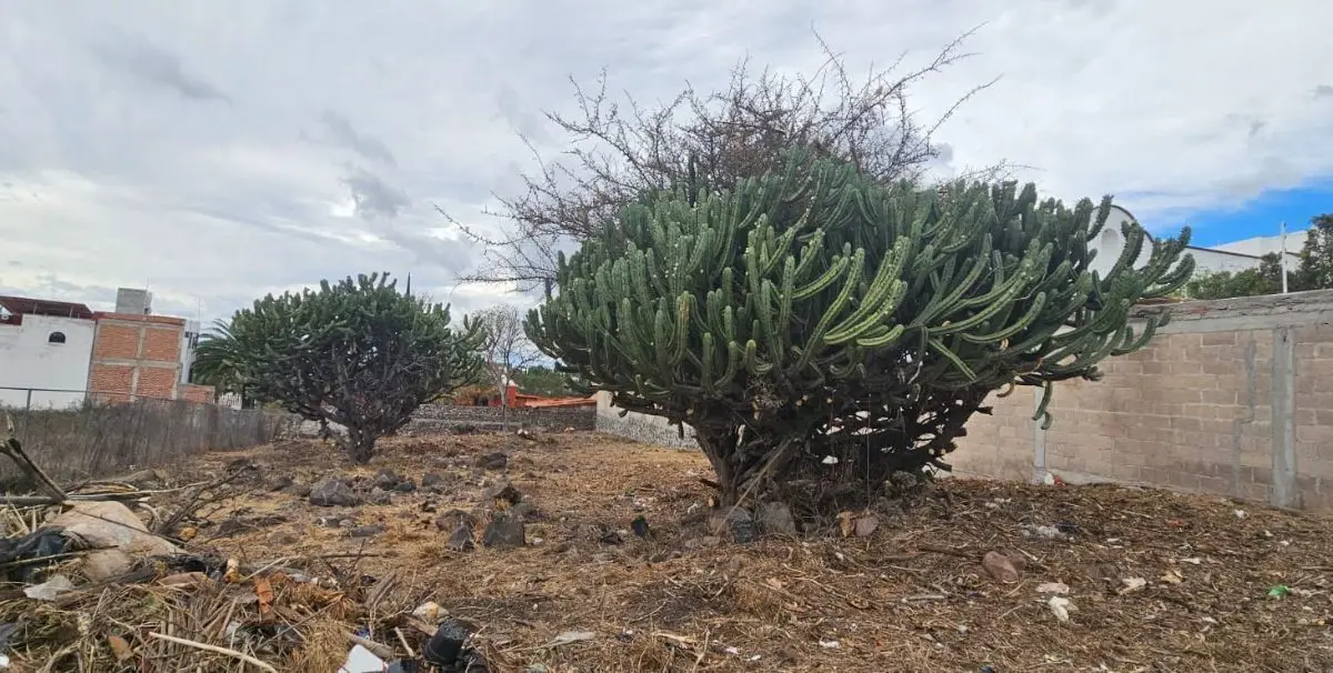 Terreno venta Juriquilla Querétaro sección san francisco — foto 6
