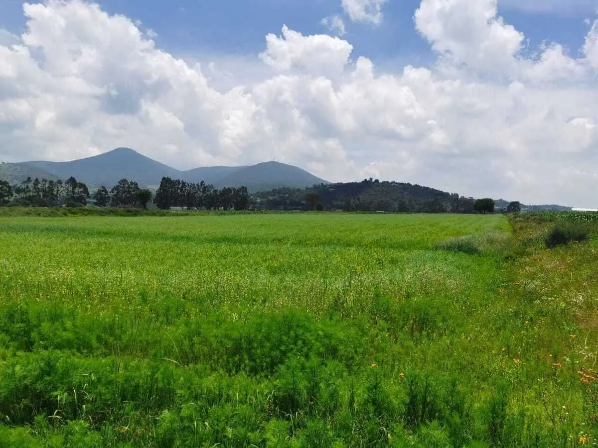 Terreno Ejidal en Venta Jilotepec Edo Mex