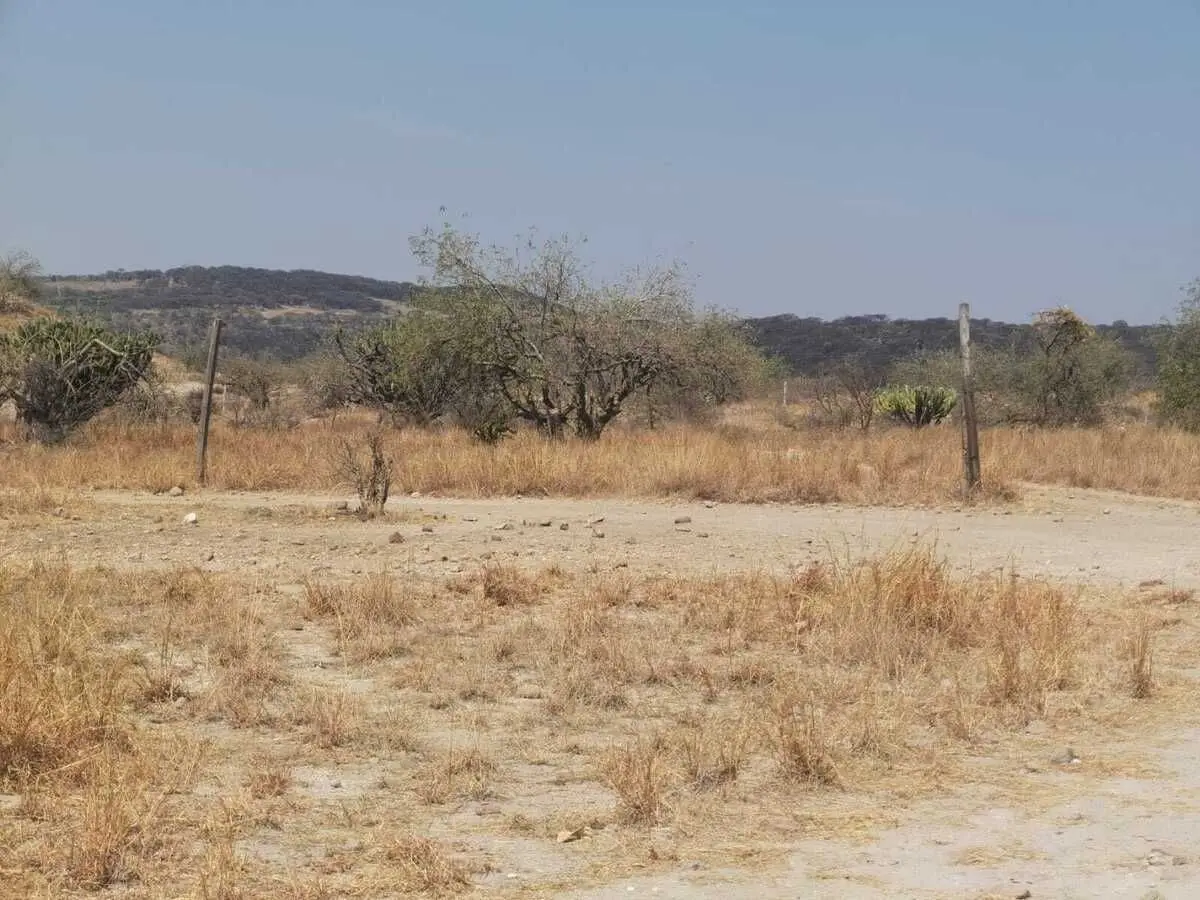 Terreno en Venta el Nabo Queretaro — foto 4