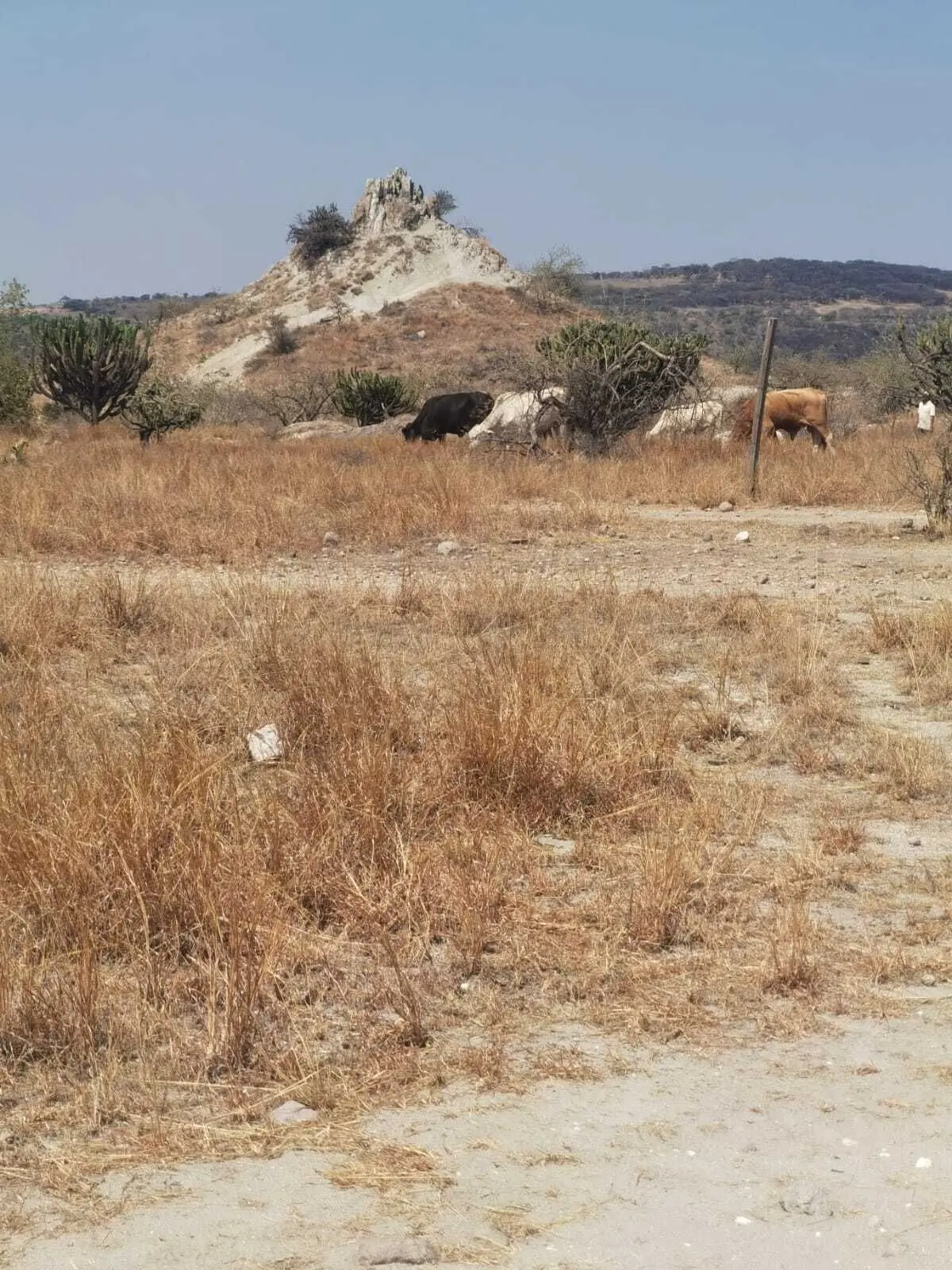 Terreno en Venta el Nabo Queretaro — foto 6