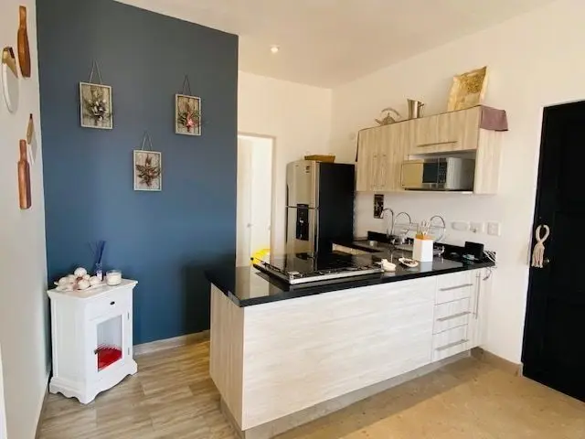 Departamento Amueblado en Renta en San Miguel de Allende Guanajuato — foto 5