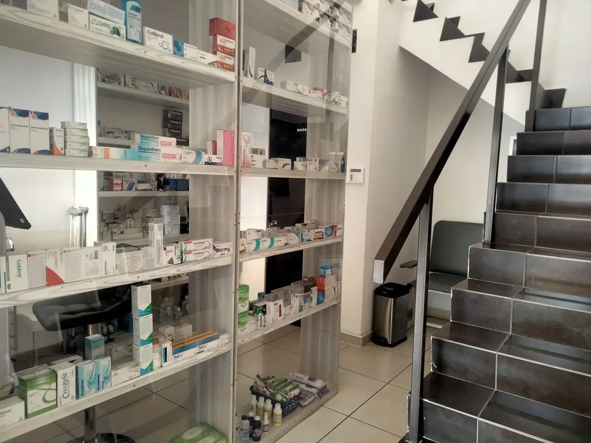 Edificio Comercial en Venta Clinica Medica Jurica Queretaro — foto 2