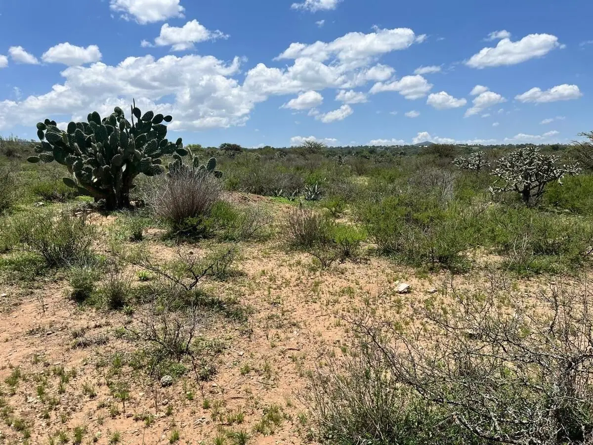 Venta Terreno Zona Vitivinicola Queretaro — foto 3