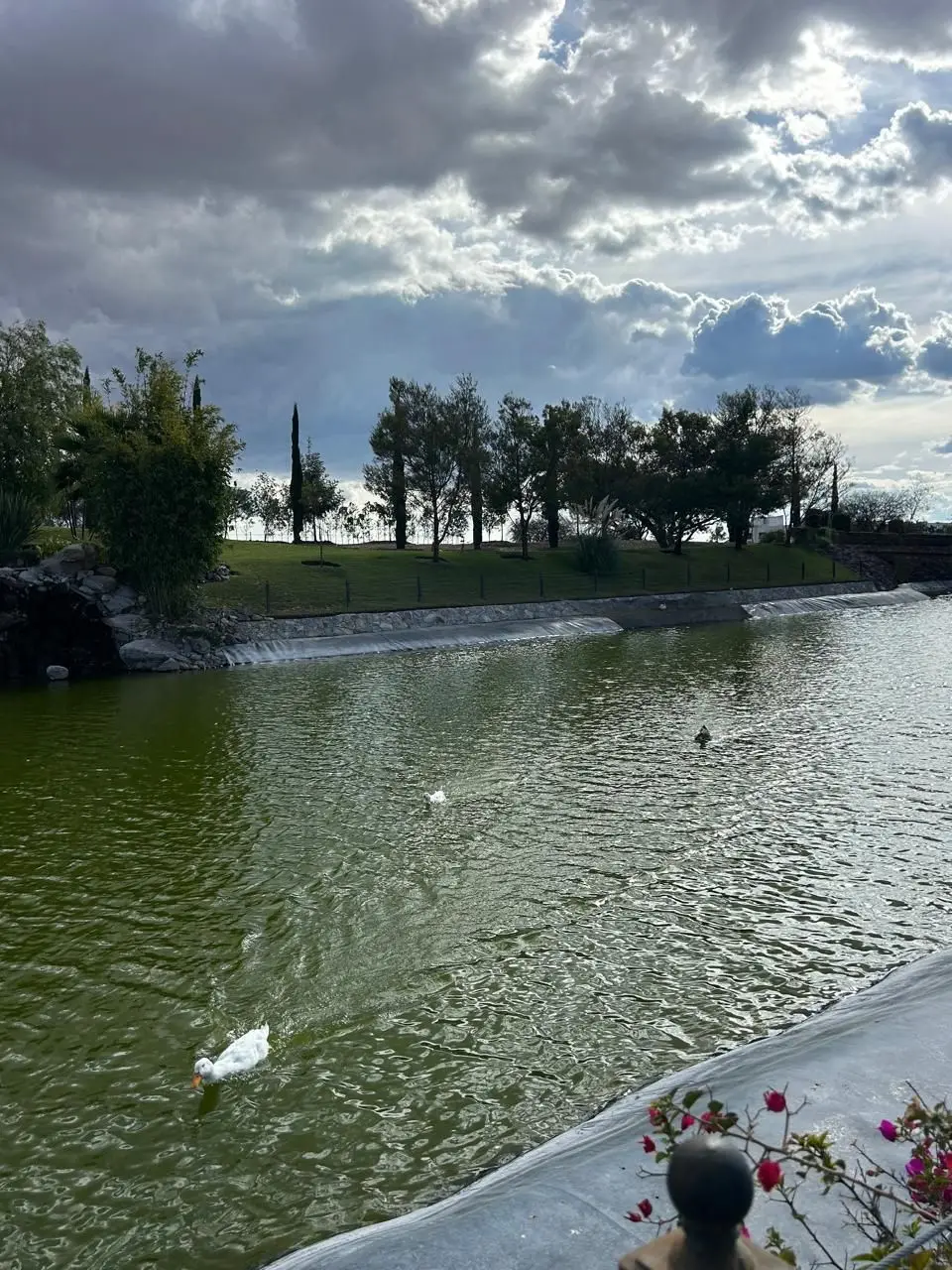 Se Vende Terreno Residencial Faro de los Cisnes Querétaro — foto 5