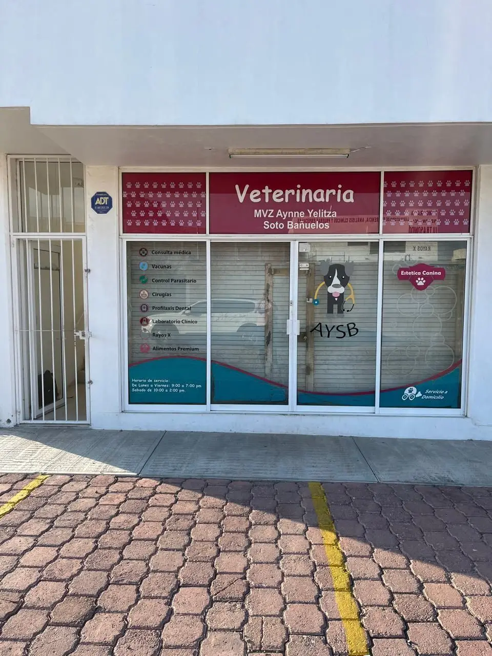 Plaza Comercial en Venta en Corregidora Queretaro — foto 6