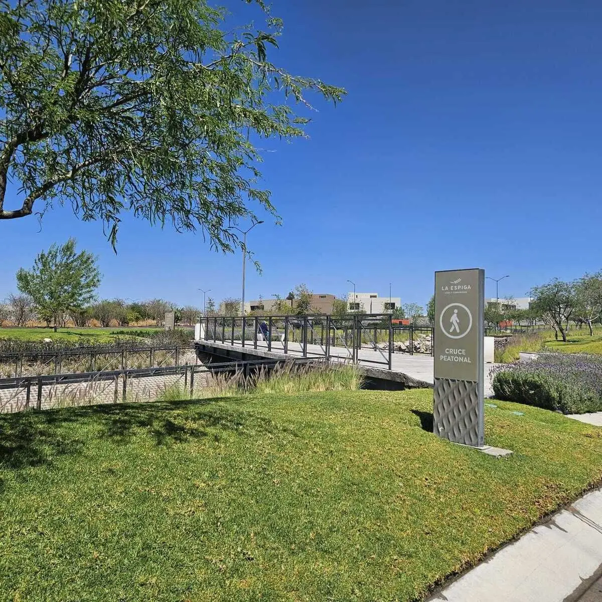 Venta Terreno la Espiga Queretaro — foto 5