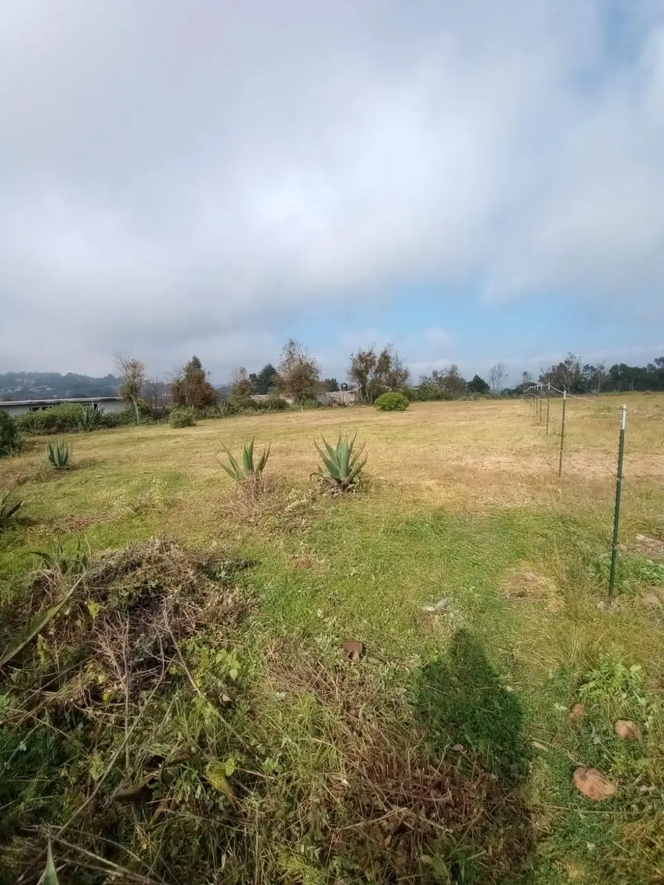 Venta Terreno Campestre Amealco Queretaro — foto 5