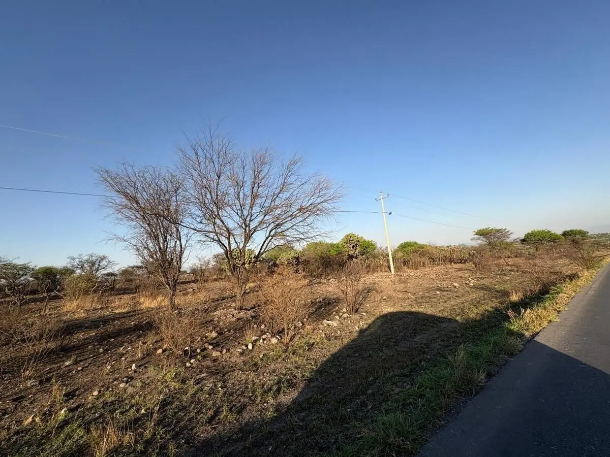 Venta 17 lotes industriales Tecozautla Hidalgo — foto 2