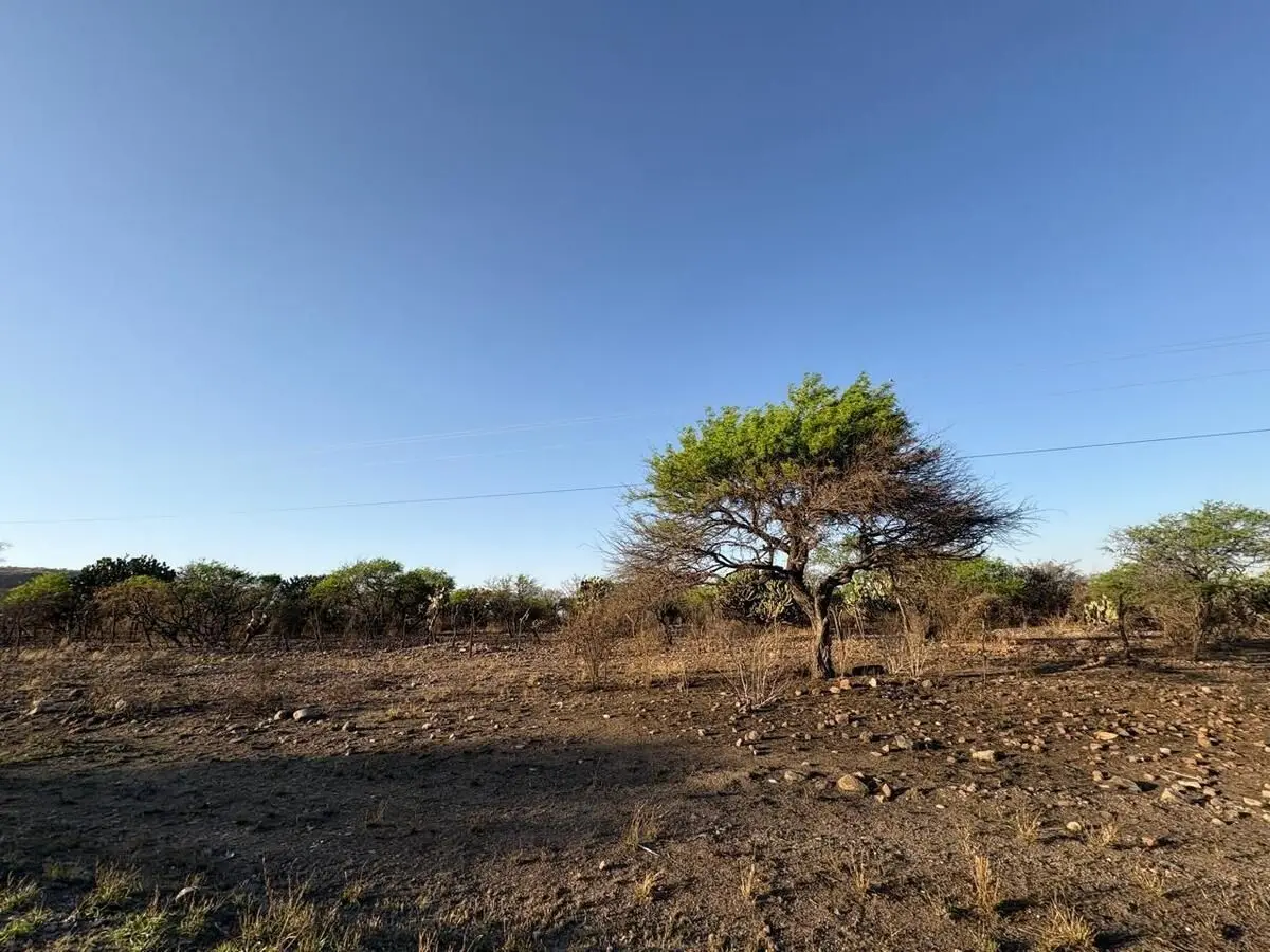 Terreno Industrial Venta Tecozautla Hidalgo — foto 6