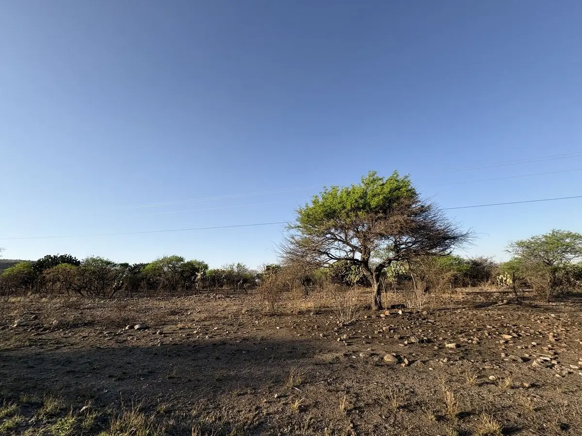 Terreno Industrial Corredor Turistico Venta Tecozautla Hidalgo — foto 6