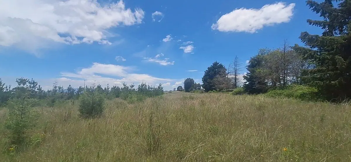 Terreno Rustico en Venta en Amealco Queretaro — foto 6