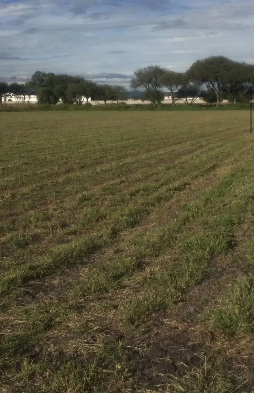 Terreno industrial en venta en El colorado El marques Querétaro — foto 5