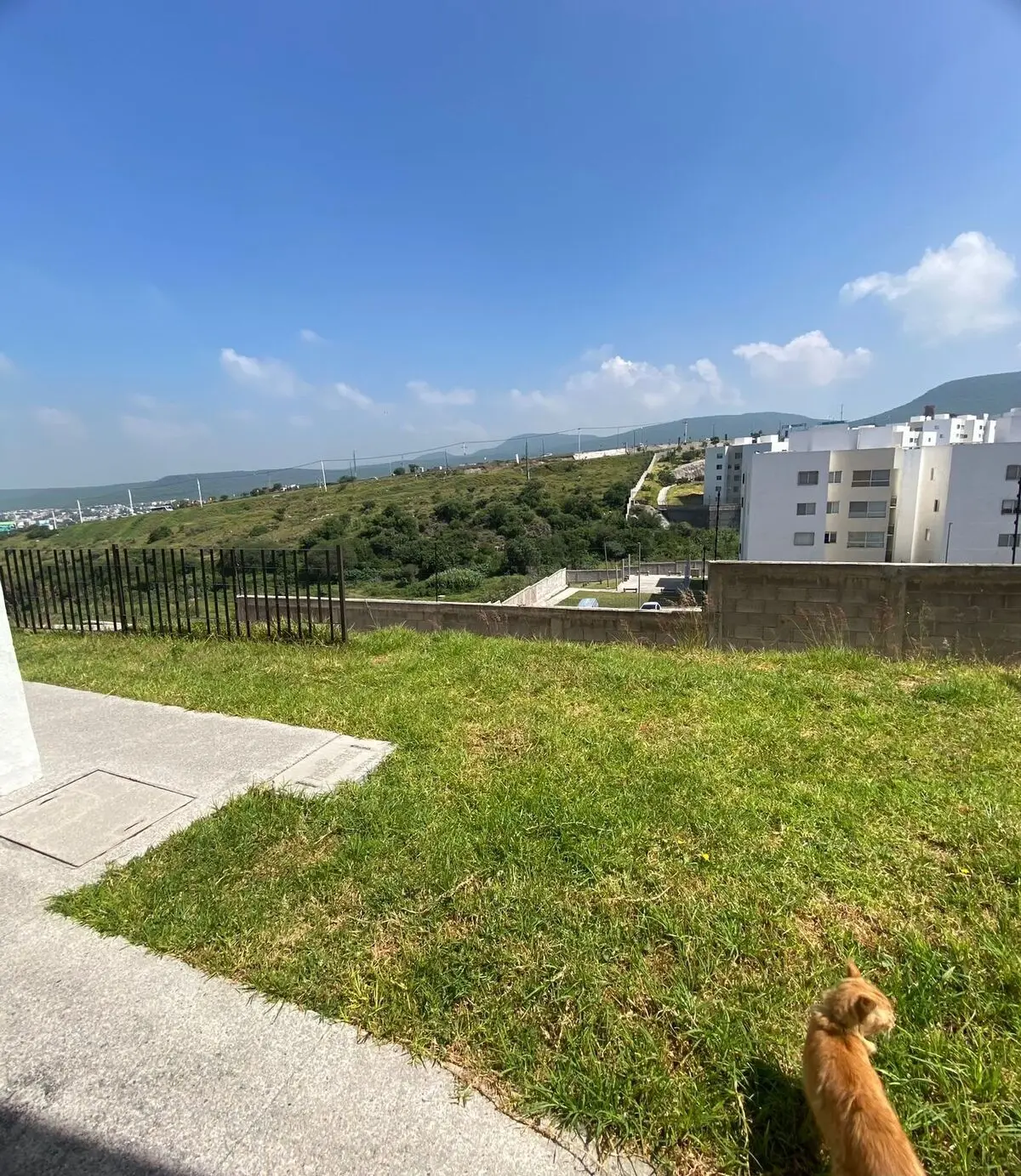 Departamento en Venta Privalia Ambienta Queretaro Planta Baja — foto 4