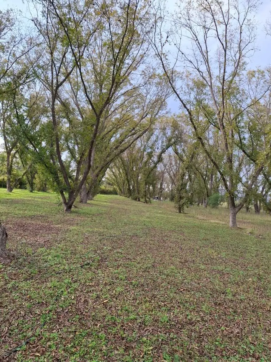 Terreno Productivo con Huerta de Nogales en Venta, Tasquillo Hidalgo