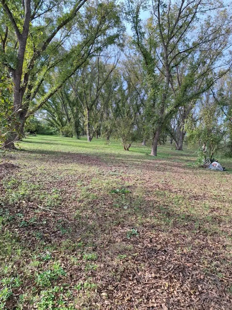 Terreno Productivo con Huerta de Nogales en Venta, Tasquillo Hidalgo — foto 2