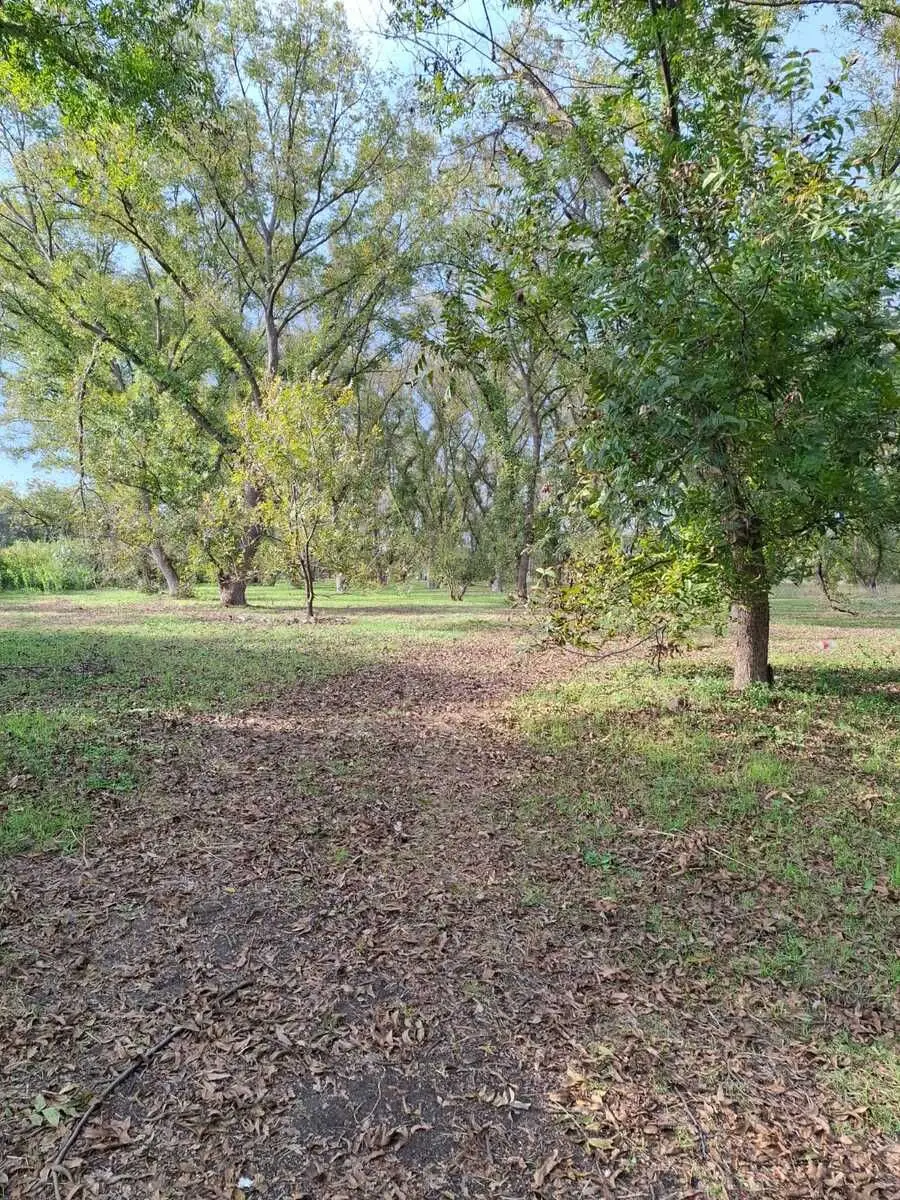 Terreno Productivo con Huerta de Nogales en Venta, Tasquillo Hidalgo — foto 4