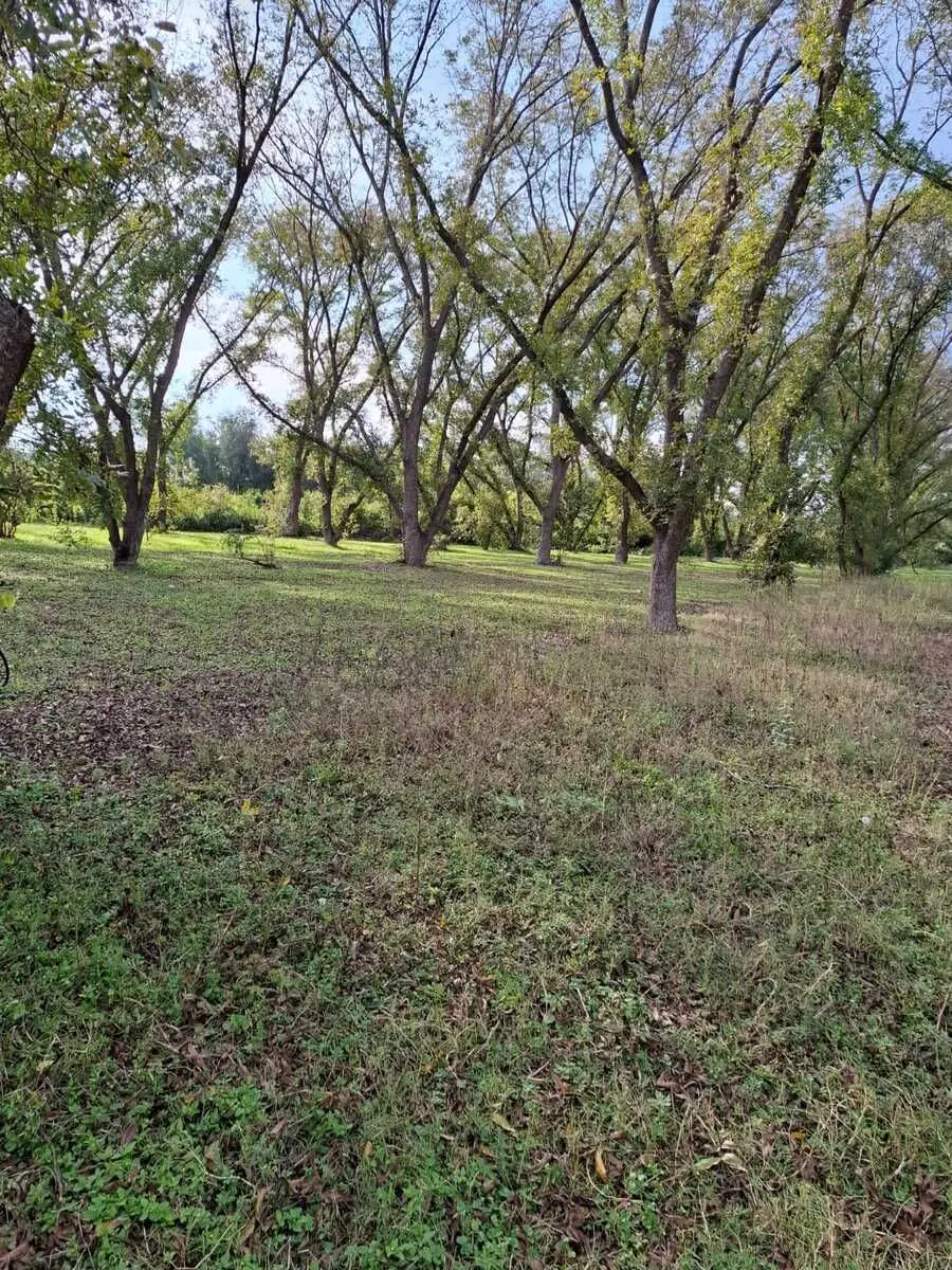 Terreno Productivo con Huerta de Nogales en Venta, Tasquillo Hidalgo — foto 5