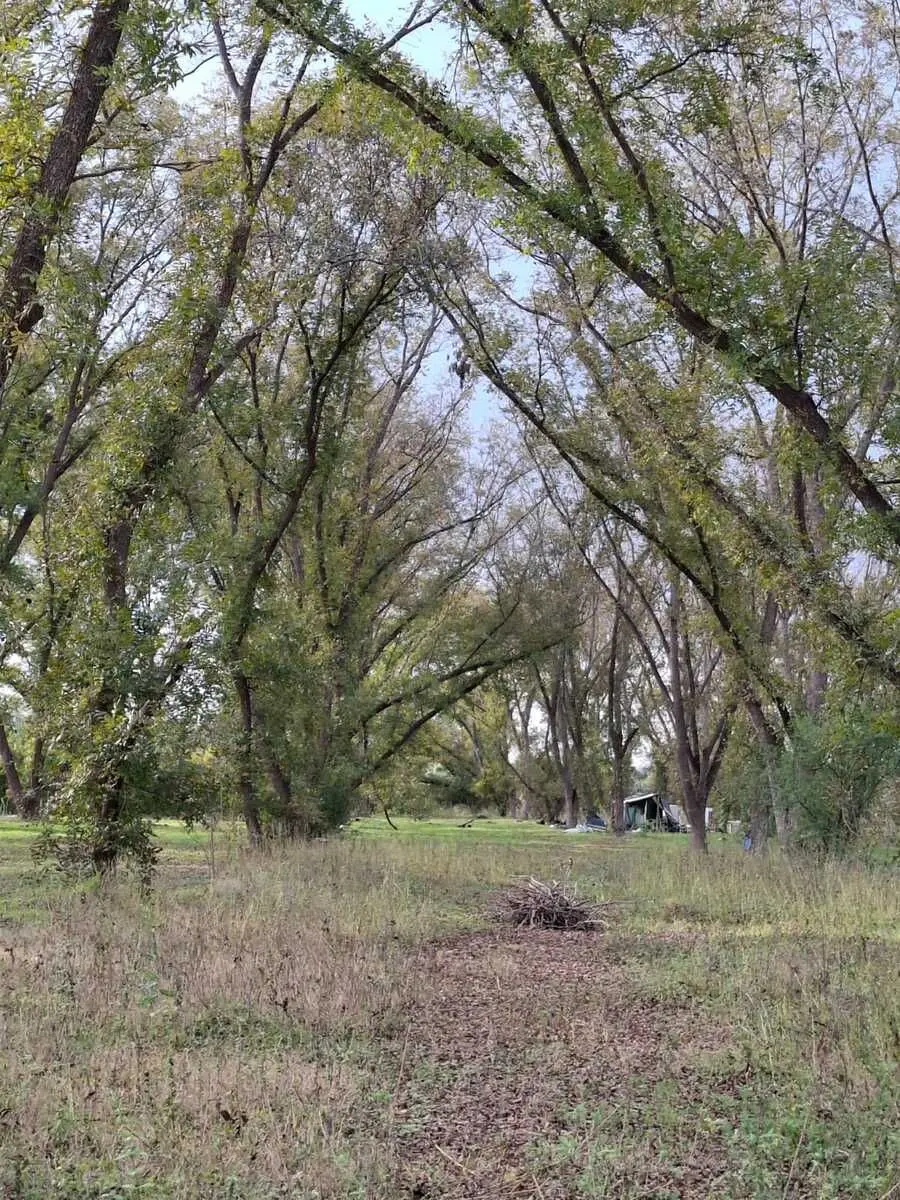 Terreno Productivo con Huerta de Nogales en Venta, Tasquillo Hidalgo — foto 6