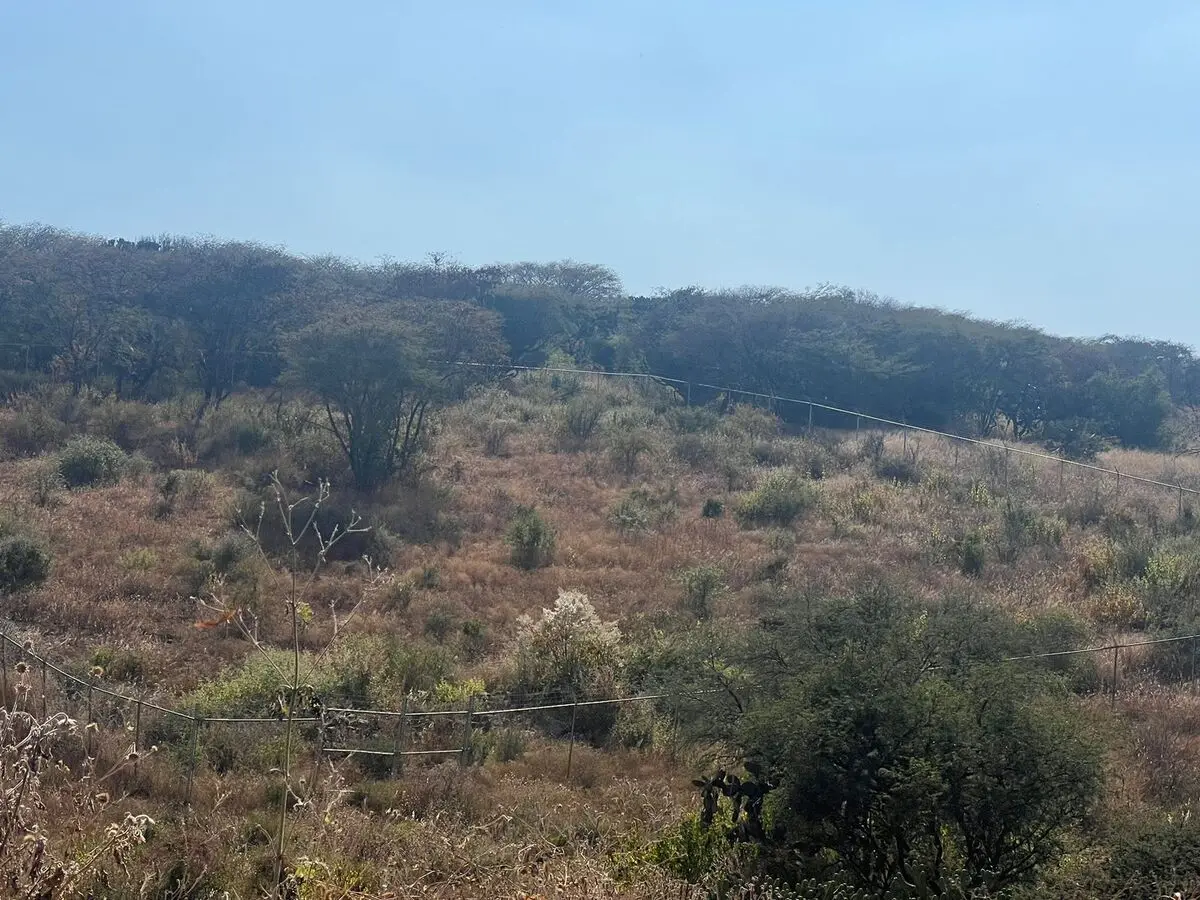 Venta de Lote el Nabo Querétaro — foto 2