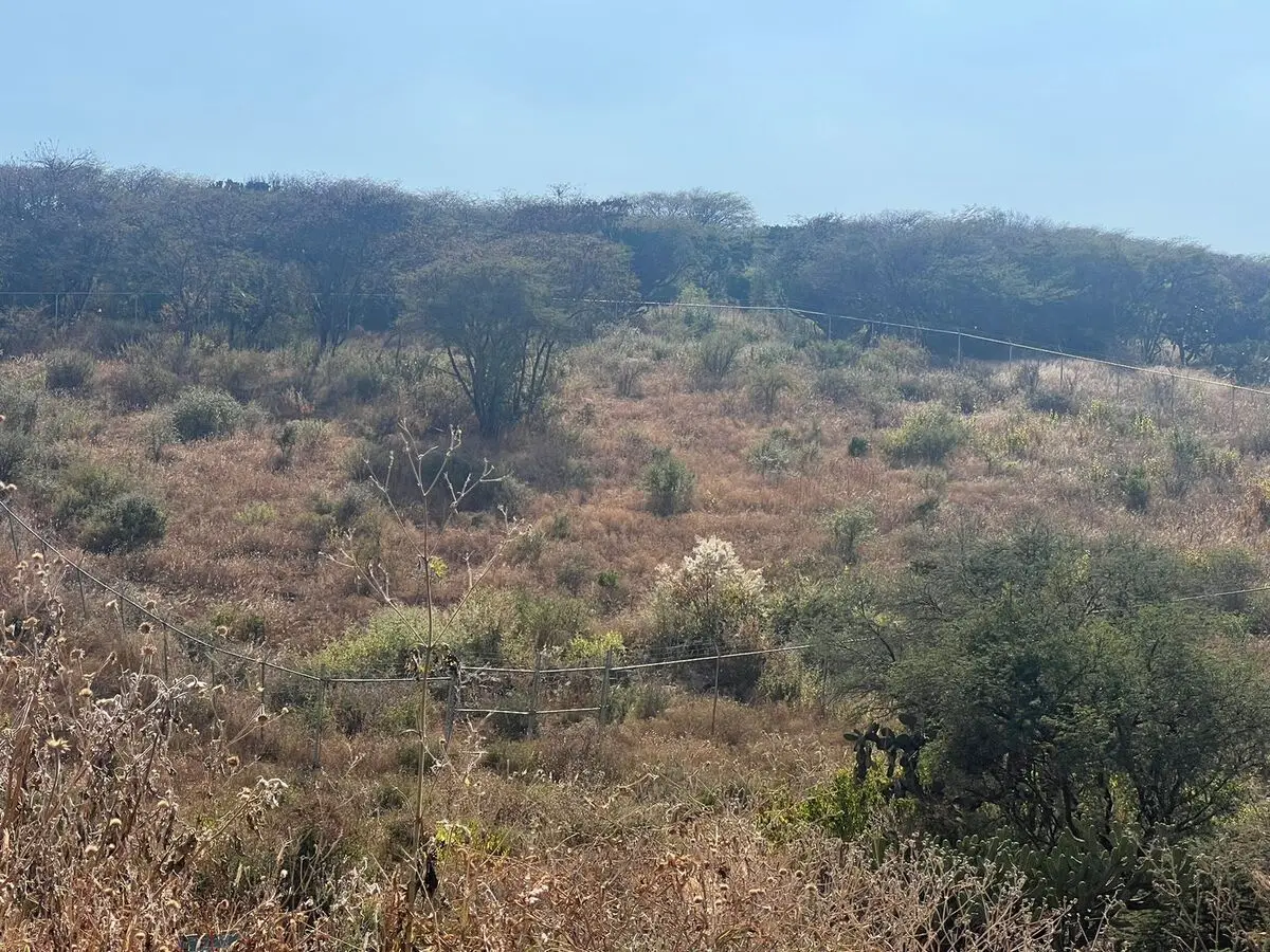Venta de Lote el Nabo Querétaro — foto 3