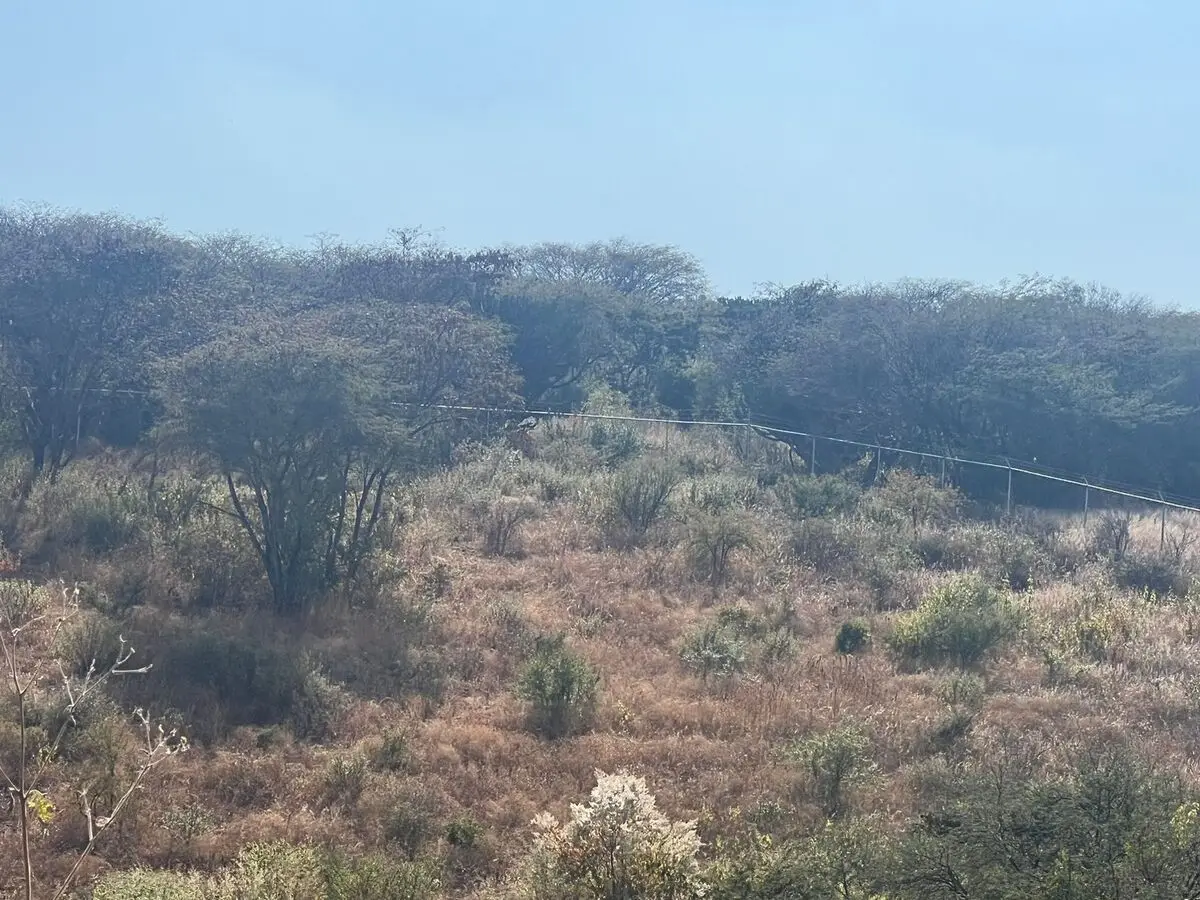 Venta de Lote el Nabo Querétaro — foto 4