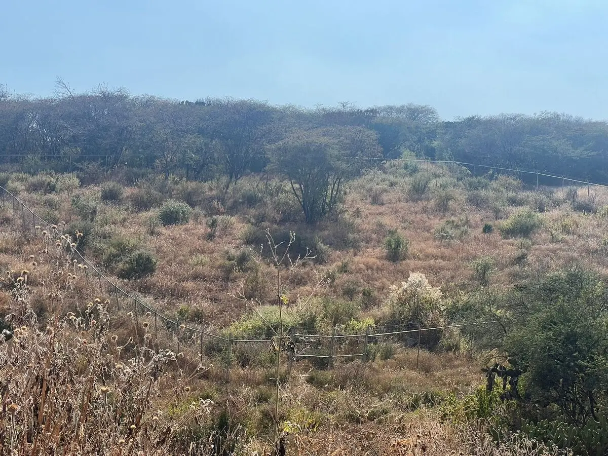 Venta de Lote el Nabo Querétaro — foto 5