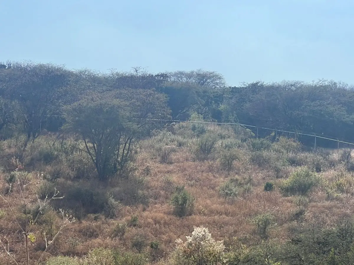 Venta de Lote el Nabo Querétaro — foto 6