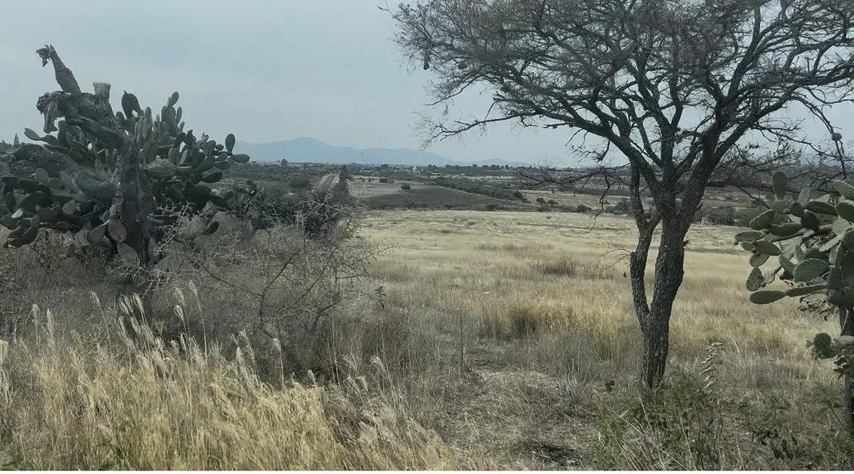 Terreno comercial en venta San Antonio Corrales, La Sabanilla, Jerécuaro, Guanaj — foto 3