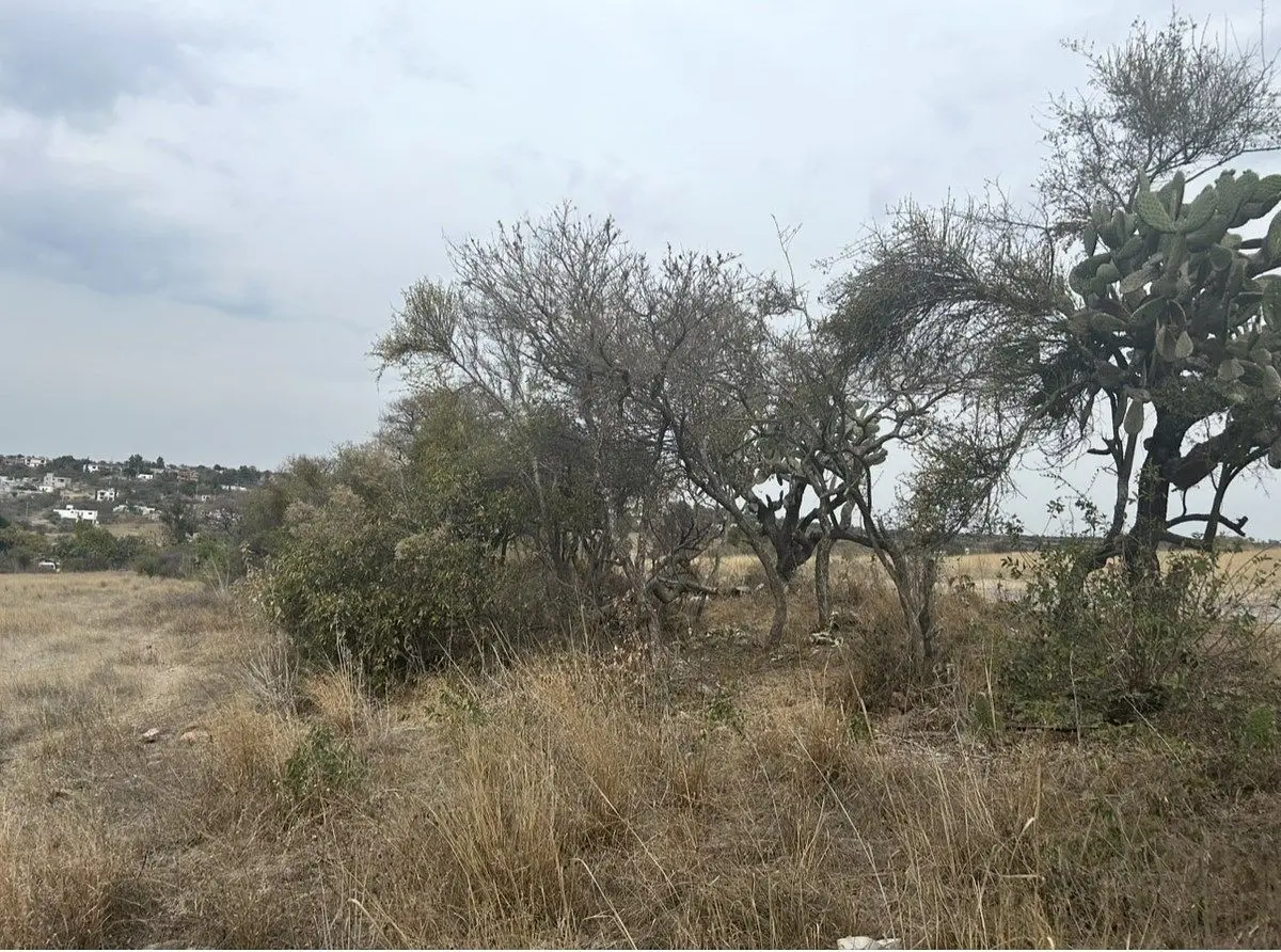 Terreno comercial en venta San Antonio Corrales, La Sabanilla, Jerécuaro, Guanaj — foto 4