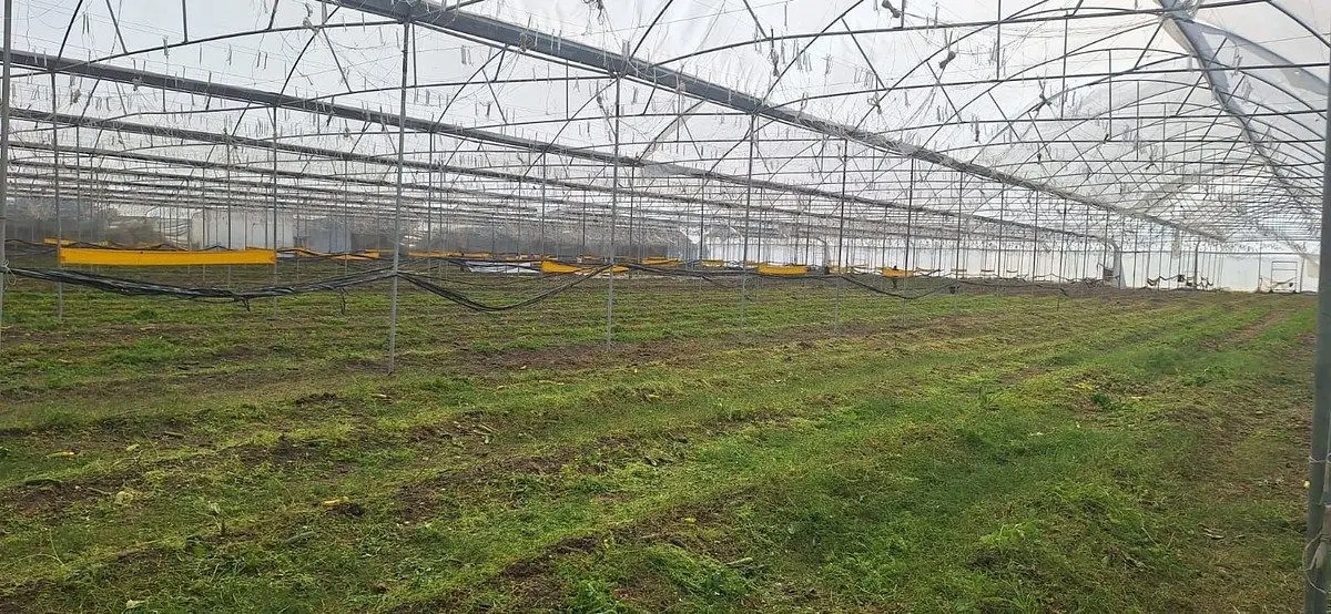 Finca en Venta Comonfort, Guanajuato — foto 3