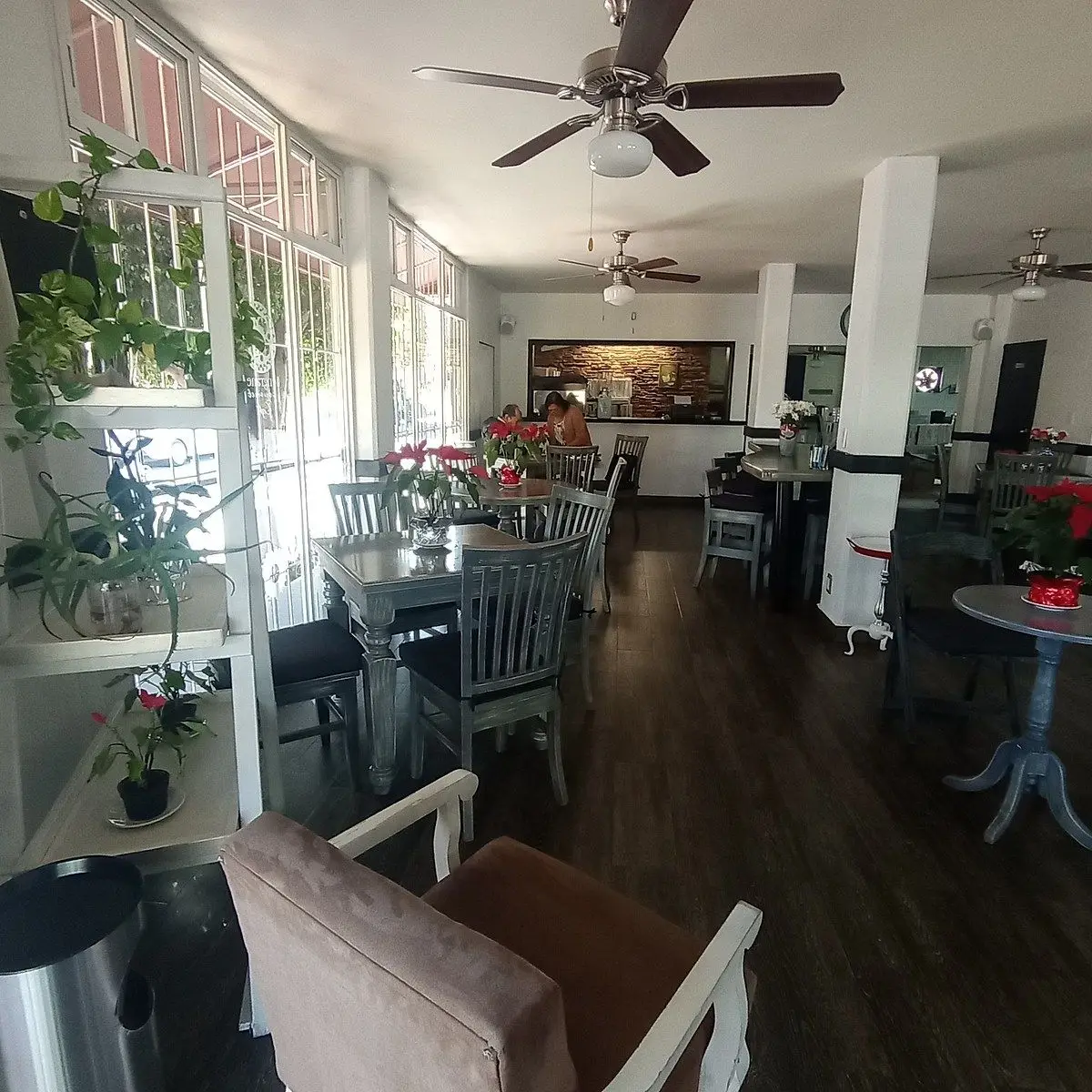 Venta de Local Comercial en esquina – Fracc. Cimatario, Querétaro — foto 4