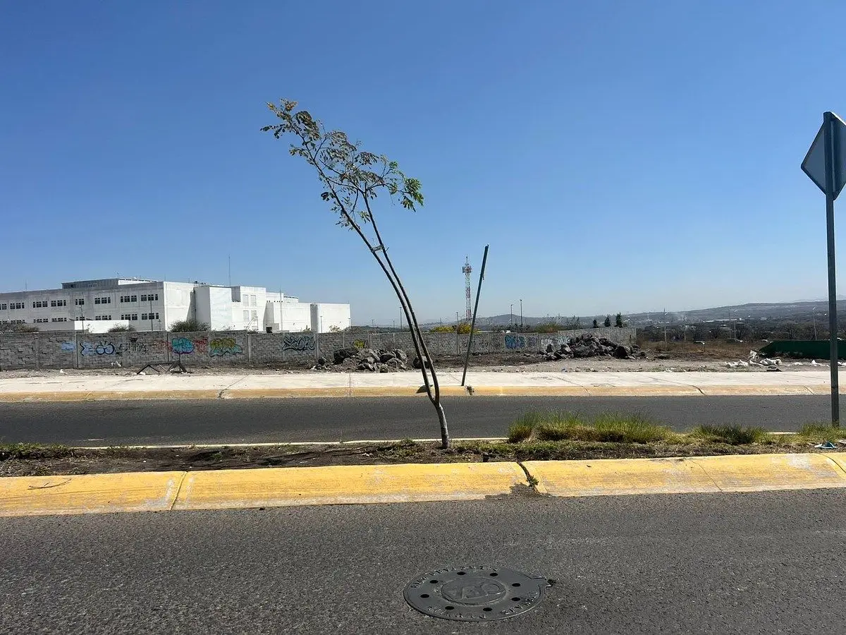 Local Comercial en Preventa con Amplia Terraza – Planta Baja - El Marqués, Queré — foto 4
