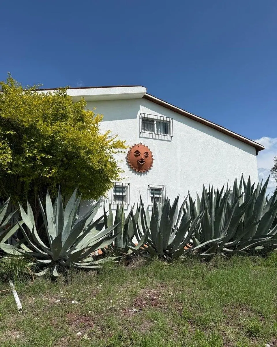 Rancho agrícola–ganadero venta Huimilpan — foto 3