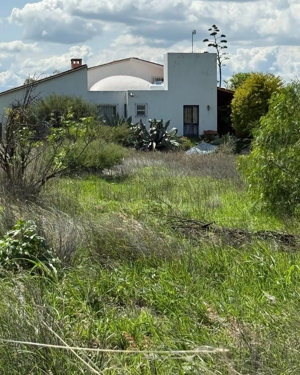 Rancho agrícola–ganadero venta Huimilpan — foto 4