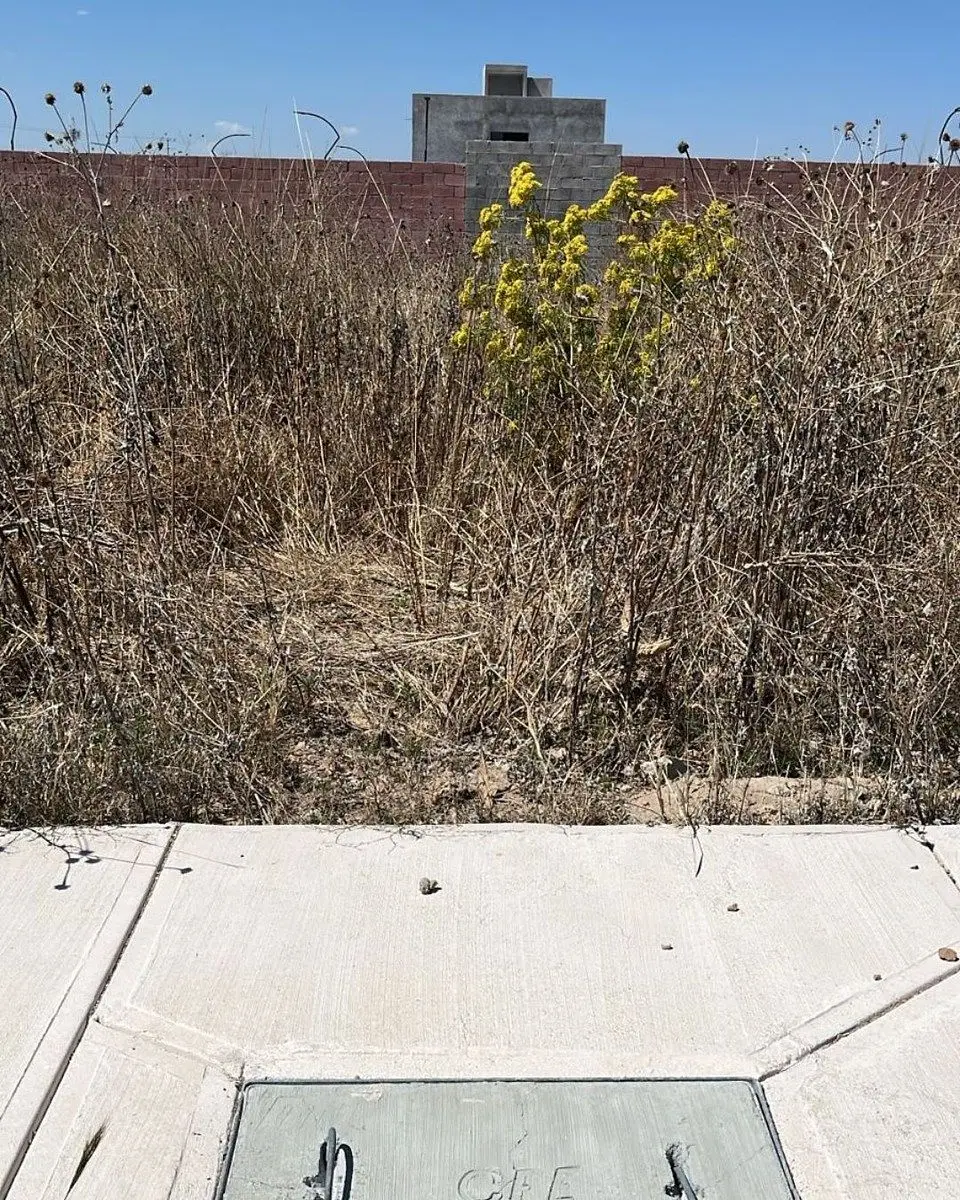 Terreno en venta Faro de los Cisnes Corregidora Querétaro — foto 3