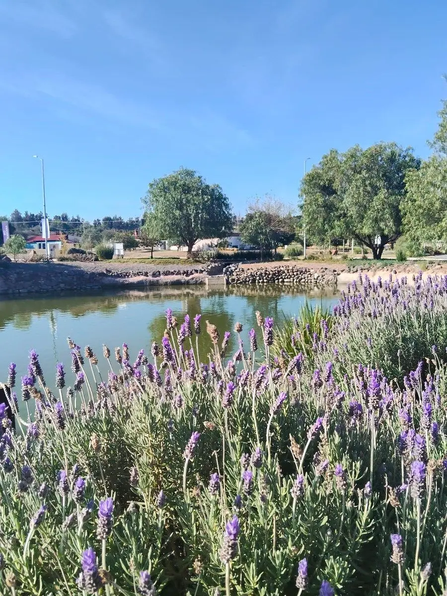 Terreno en Venta en Corregidora — foto 2