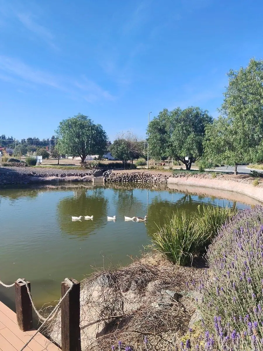 Terreno en Venta en Corregidora — foto 5