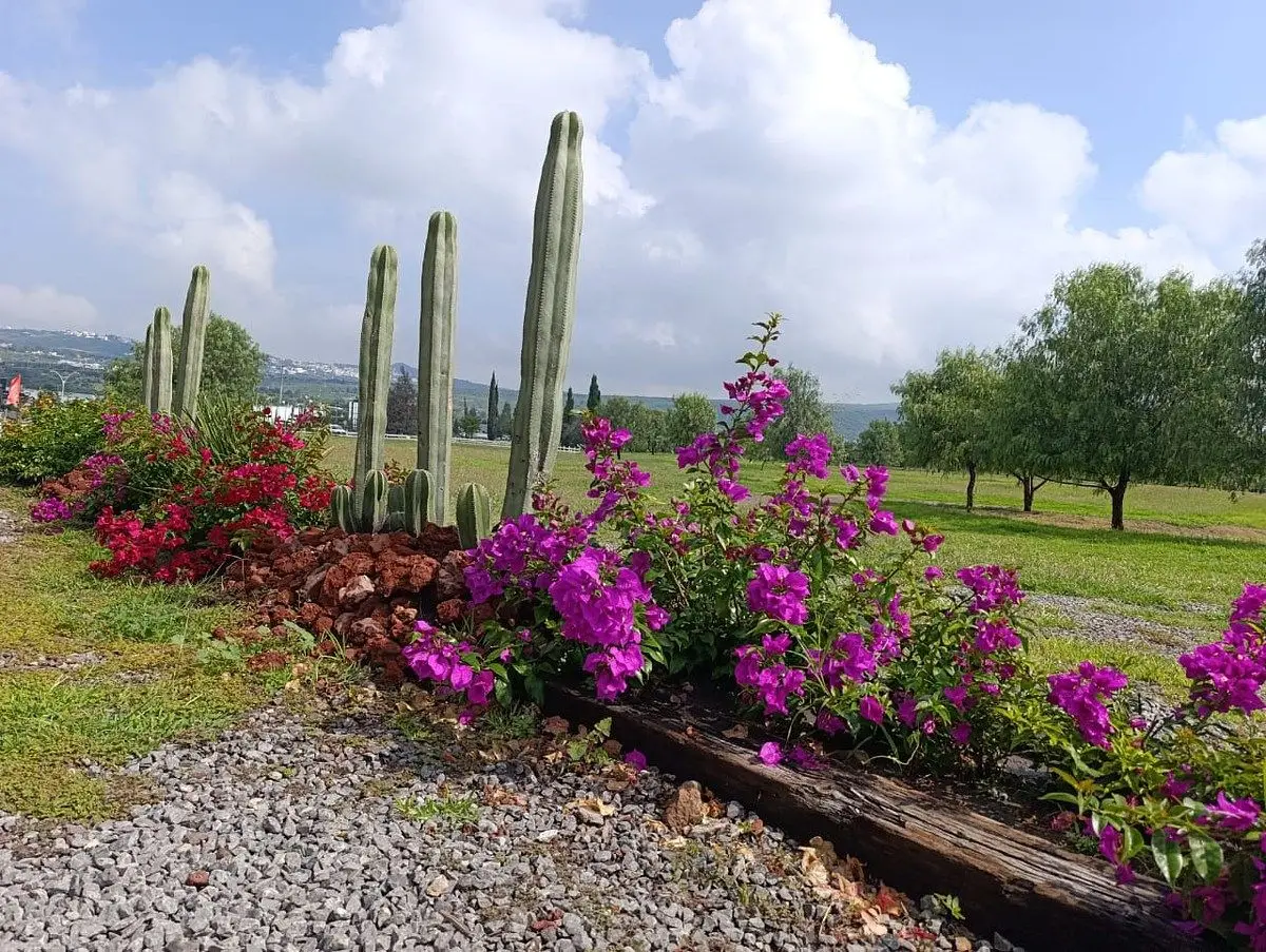 Terreno en Venta en Huimilpan Queretaro — foto 5