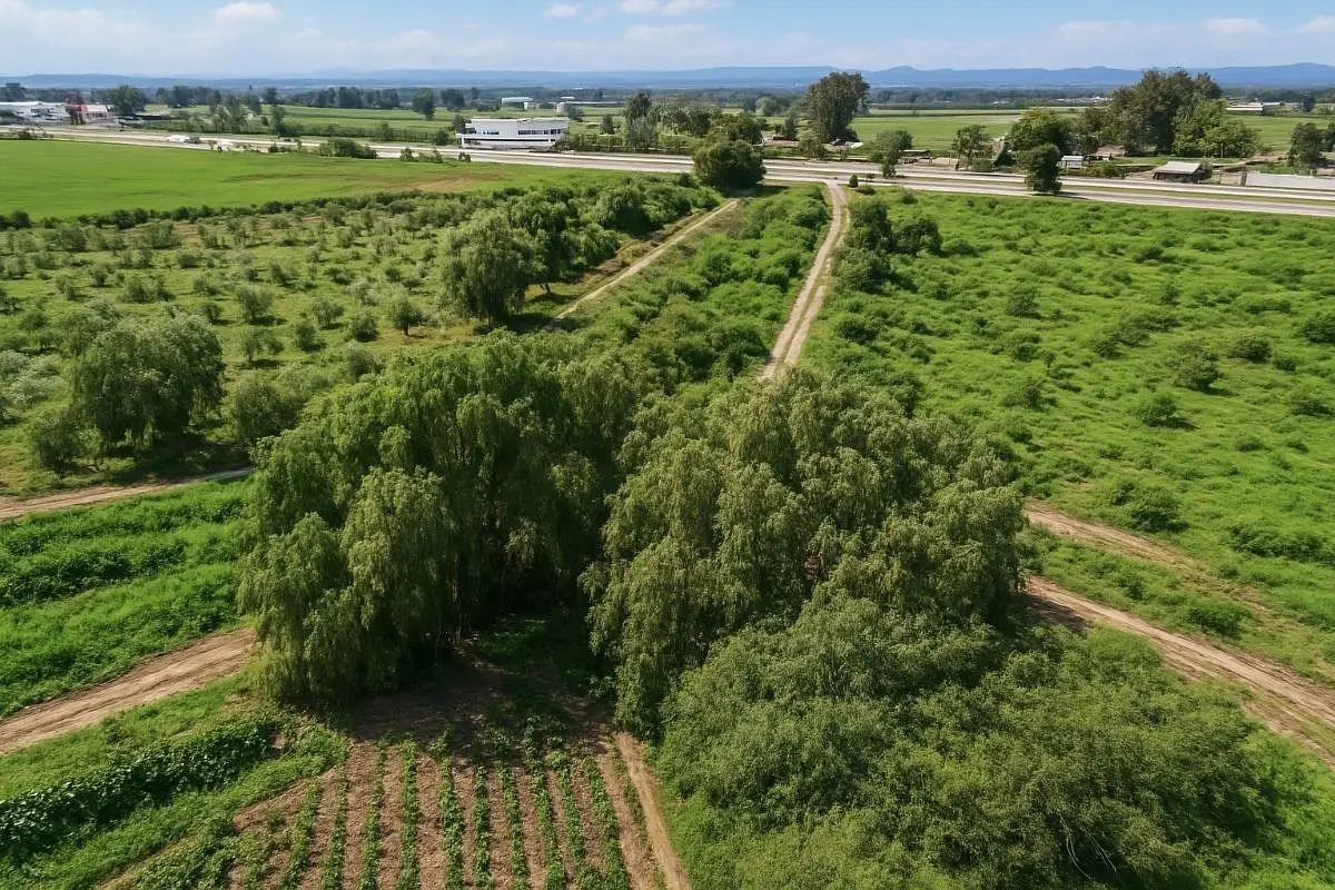 Terreno Industrial en Venta de 2,179m² en El Sauz Pedro Escobedo — foto 4