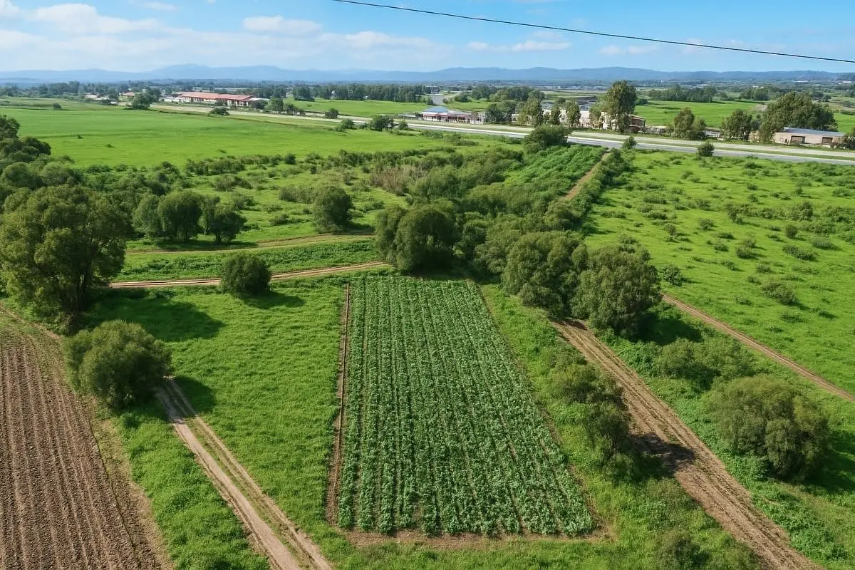 Terreno Industrial en Venta de 2,179m² en El Sauz Pedro Escobedo — foto 6