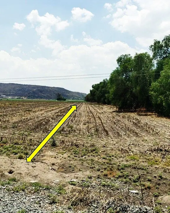Terreno en Venta San Vicente el Bajo Colon Queretaro — foto 4